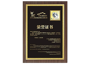 2010上海世博证书